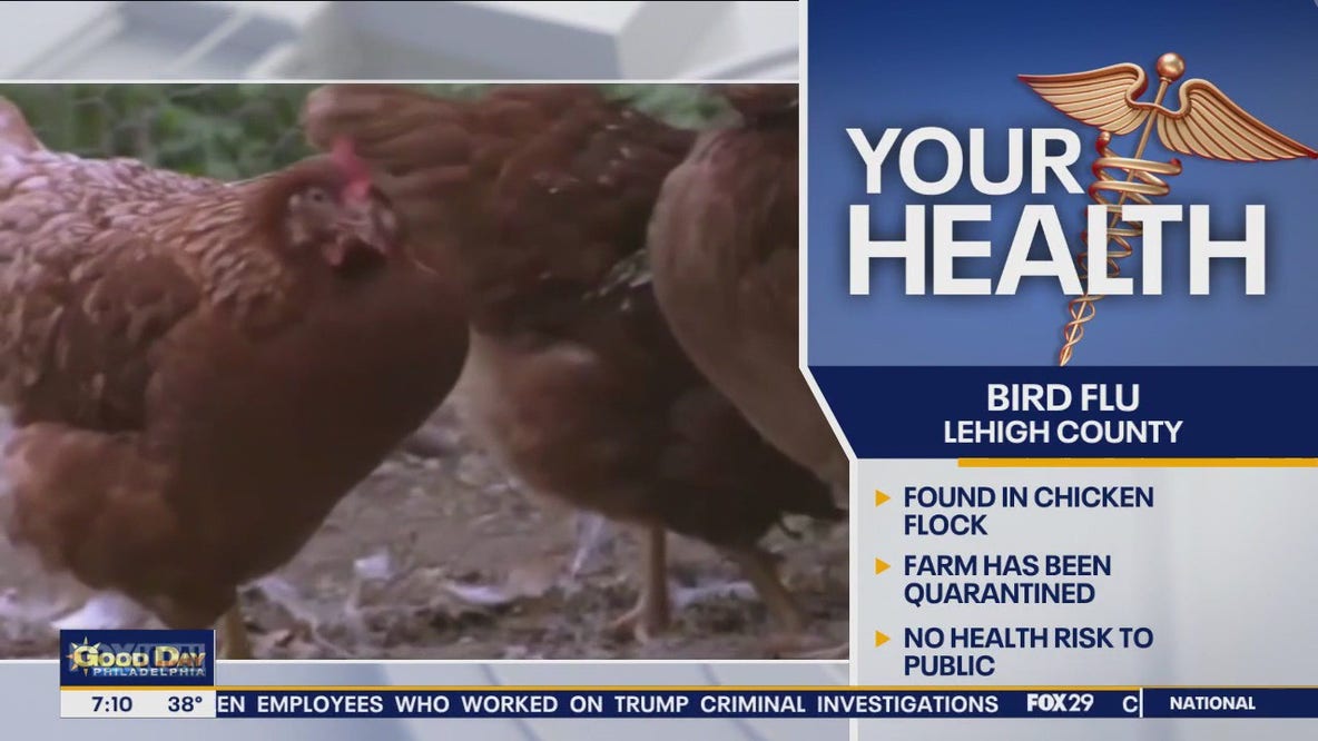 First bird flu case in PA found on Lehigh County poultry farm: officials